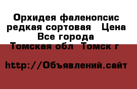 Орхидея фаленопсис редкая сортовая › Цена ­ 800 - Все города  »    . Томская обл.,Томск г.